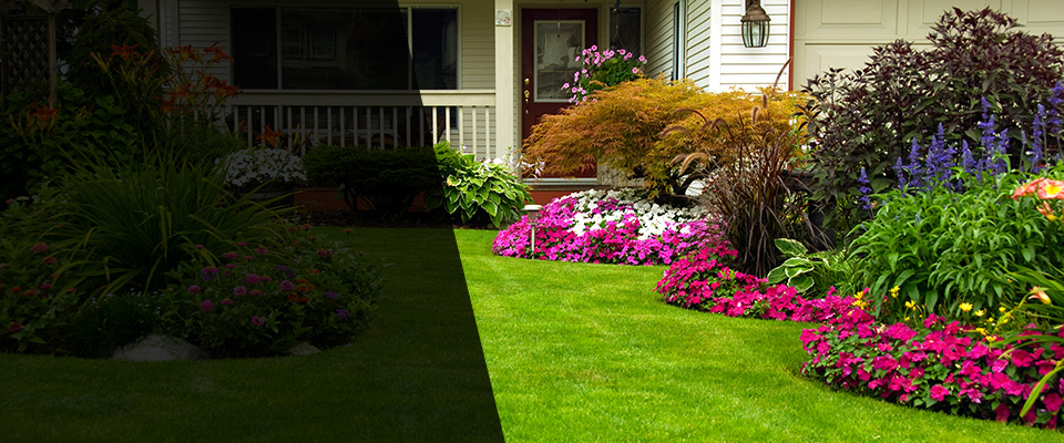 Montgomery Landscapers