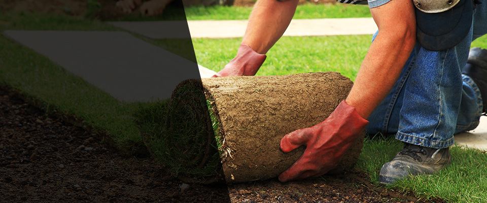 Montgomery Landscapers